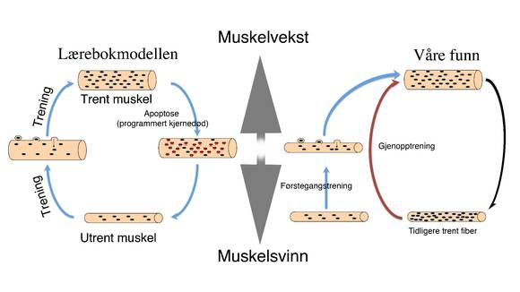 410633-8-1429600666703